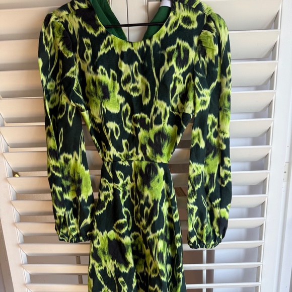 The wolf gang Light green Sofia dress NWT Sz S - Picture 5 of 7